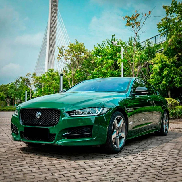 Amphibian Green (CG32-HD) Vinyl Wrap - Image 2
