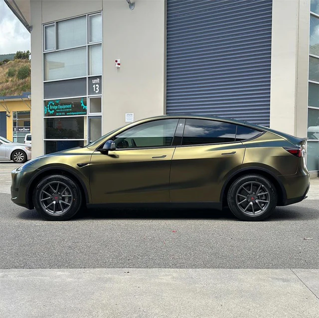 Greenfinch Gold (HM09) Vinyl Wrap on car